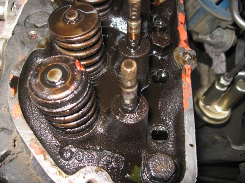 1981 Ford Bronco - Oil-wetted close-up of a cylinder head with rocker arms removed, showing paired valve springs with retainers and keepers, two bare threaded…