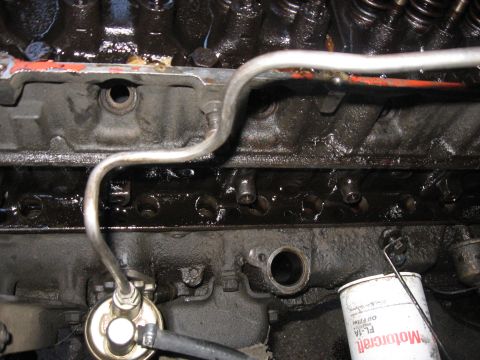 1981 Ford Bronco - Overhead shot into an oily engine bay with the intake manifold off, showing the exposed lifter valley, pushrods, valve springs and orange s…