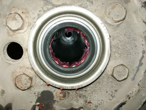 1998 Ford Crown Victoria - Close-up of an axle bearing packed with red grease, showing part number 3W1W-1177-AA.