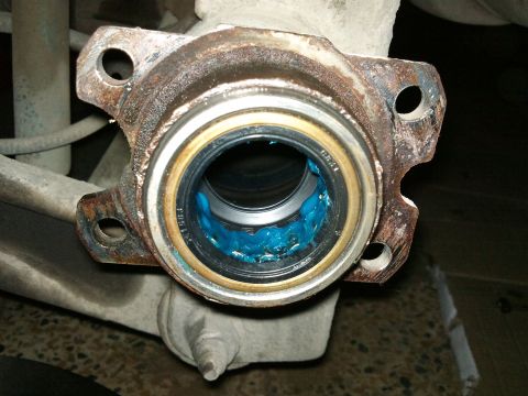 1998 Ford Crown Victoria - Close-up of a greased wheel bearing assembly, showing rust on the housing.