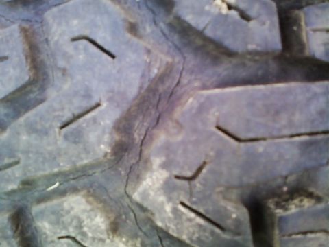 1990 Ford Bronco - Picture of dry rot