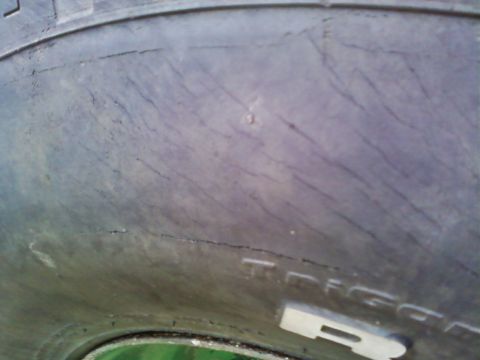 1990 Ford Bronco - Picture of dry rot