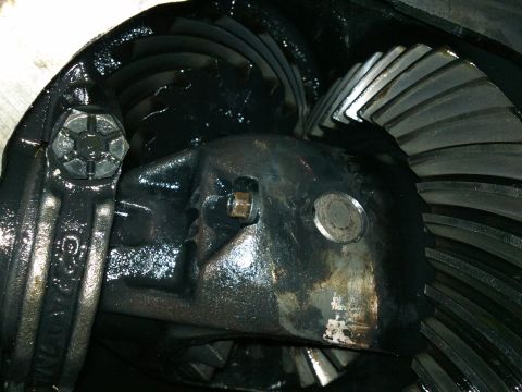 1998 Ford Crown Victoria - Differential gears and housing shown in detail.