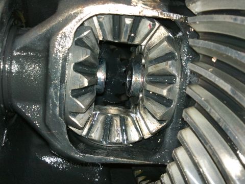 1998 Ford Crown Victoria - Close-up view of differential gears, with a watermark indicating the source as Supermotors.net.