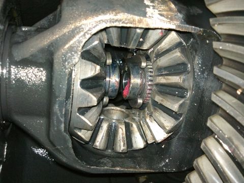 1998 Ford Crown Victoria - Close-up view of differential gears, showing application of red grease.