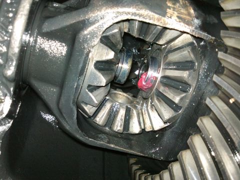 1998 Ford Crown Victoria - Gears inside a differential housing are visible, coated in grease.