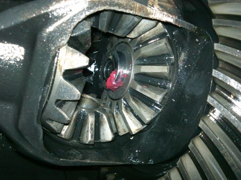 1998 Ford Crown Victoria - Close-up of differential gears, showing internal components and lubrication.