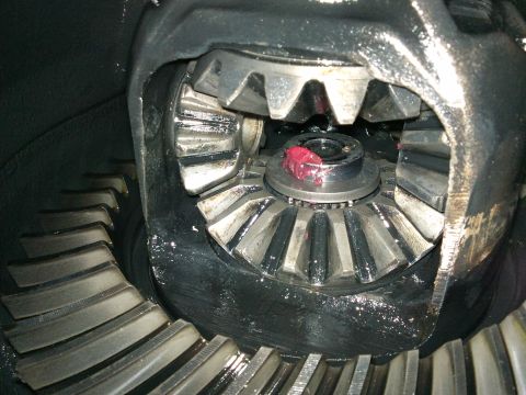 1998 Ford Crown Victoria - Differential gears are shown with red grease applied, indicating recent work or maintenance.