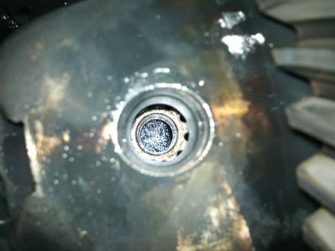 1998 Ford Crown Victoria - Differential pinion gear showing metal shavings, possibly from axle work.