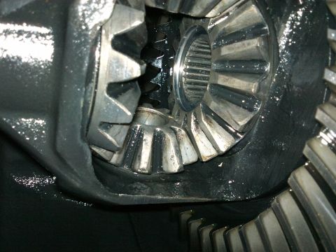 1998 Ford Crown Victoria - The internal workings of a vehicle's differential are shown in this close-up view.