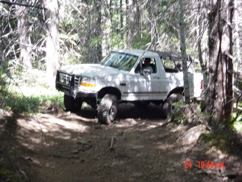 1995 Jeep Wrangler “Black Dragon”