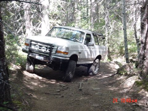 1995 Jeep Wrangler “Black Dragon”