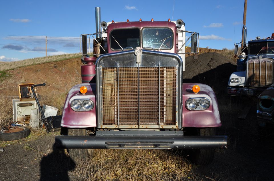 Front view of faded maroon vintage Kenworth conventional with chrome grille in a weedy yard