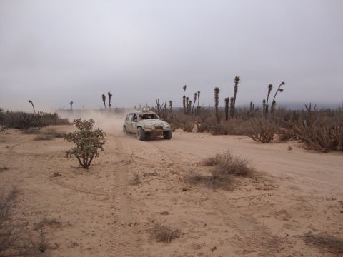 1990 Ford Bronco - dusty off-road race vehicle speeds along a sandy desert trail surrounded by cardon cacti and scrub under an overcast sky.