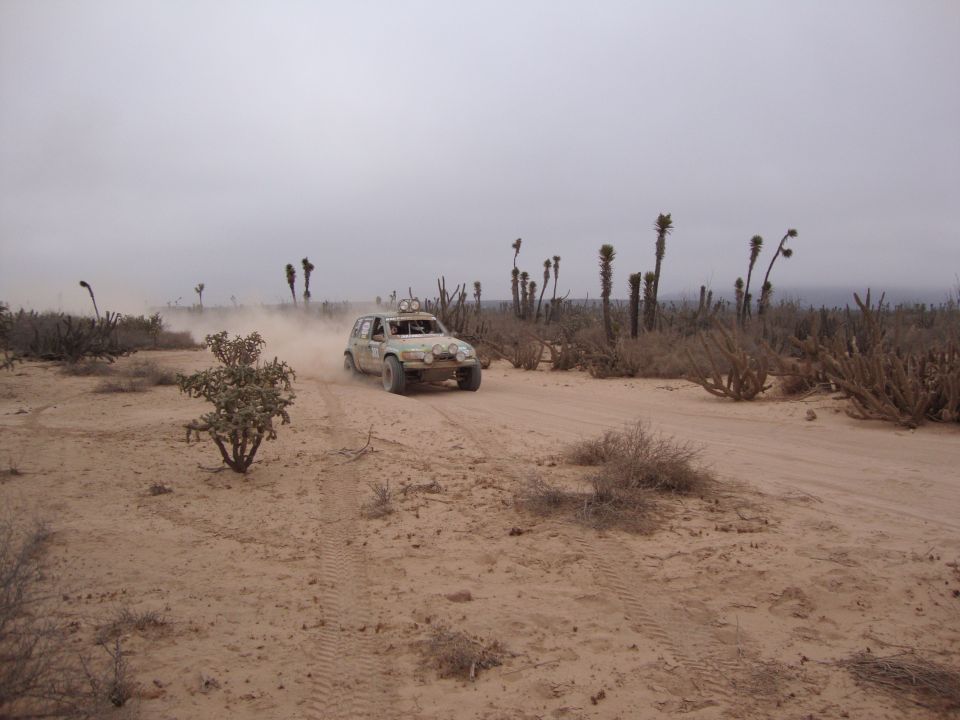 Light-colored off-road race vehicle kicking up dust on a desert dirt trail among cacti