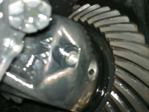 1998 Ford Crown Victoria - Close-up view of differential gears, showing the meshing teeth and metallic housing.