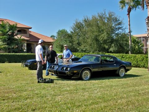 1977 Pontiac Firebird photo