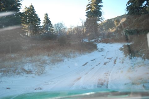 1996 Ford Bronco - A snowy road winds through a wooded area with tire tracks marking the path.