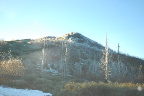 1996 Ford Bronco - A frosty mountain scene with sparse vegetation and dead trees under a bright blue sky.