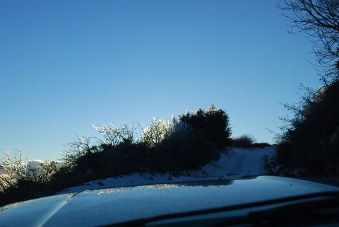 1996 Ford Bronco - The hood of a vehicle is visible in the foreground, reflecting icy trees and a snowy road under a clear blue sky.