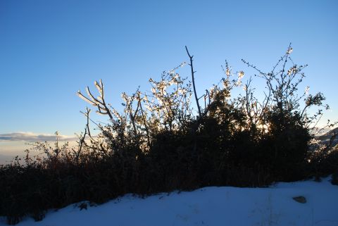 1996 Ford Bronco - A winter scene with snow-covered ground and icy branches silhouetted against a bright blue sky, a Supermotors logo in the corner.