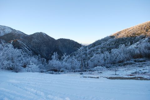 1996 Ford Bronco - Winter scene in the mountains with snow-covered trees and a clear sky. Tire tracks are visible in the foreground.