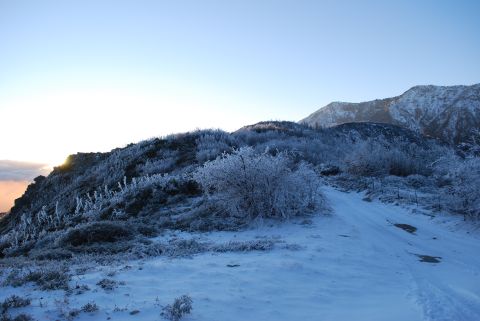 1996 Ford Bronco - A winter scene unfolds on a mountain slope, with frost-covered vegetation under a bright sky.