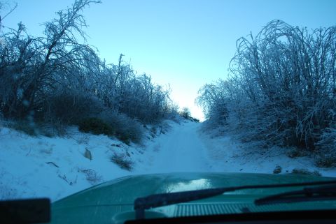 1996 Ford Bronco - Driving through a winter landscape with ice-covered trees lining a snowy path, viewed from the perspective of the vehicle's hood.