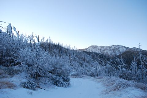 1996 Ford Bronco - A snow-covered road winds through a frosted forest towards snow-capped mountains under a clear blue sky.