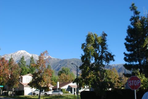 1996 Ford Bronco - A suburban street scene with parked vehicles and a mountain range in the distance under a clear blue sky.