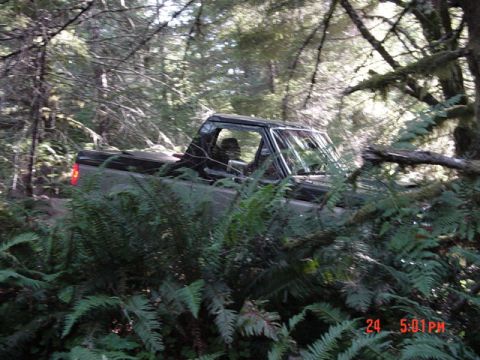 1995 Jeep Wrangler “Black Dragon”