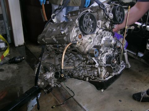 1993 Ford Probe - Engine assembly removed from vehicle, showing internal components and timing belt system.