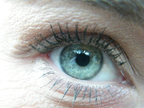 1982 Ford Bronco - A detailed view of a human eye, showing the iris, pupil, and surrounding skin.