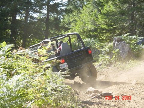 1995 Jeep Wrangler “Black Dragon”
