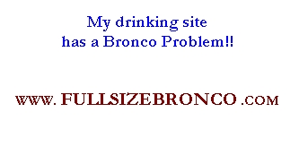 1995 Ford Bronco - This image contains text related to a Bronco problem and a website address.