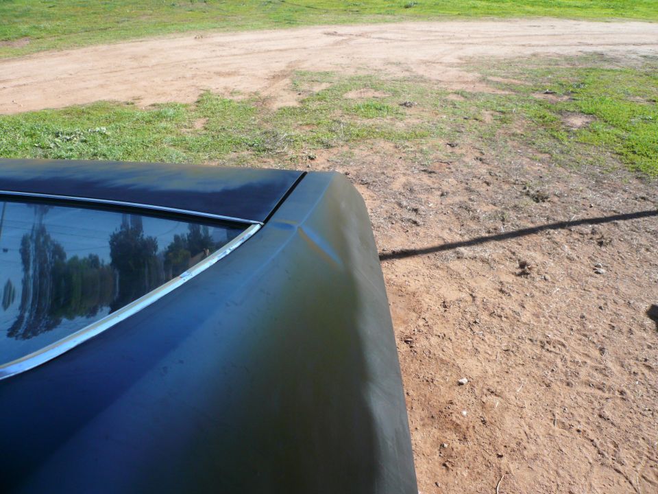 Black car trunk and rear window reflecting trees, dirt ground