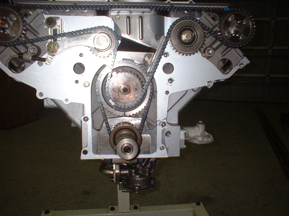 Engine timing chain and gears assembly