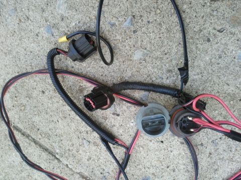 2003 Ford Crown Victoria - Close-up of an automotive headlight wiring harness with connectors and bulb sockets.