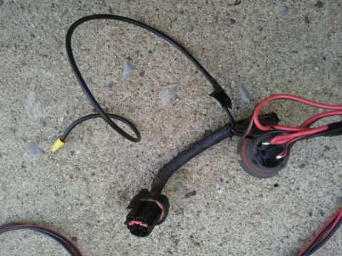 2003 Ford Crown Victoria - A close-up view of a vehicle's headlight wiring harness, showing various connectors and wires.