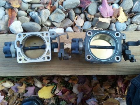 2003 Ford Crown Victoria - Two throttle bodies are shown, one silver and one black, against a backdrop of rocks and fallen leaves.