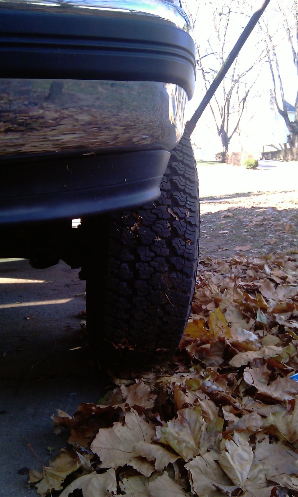 Close-up of a vehicle's rear tire and bumper, with fallen leaves on the ground