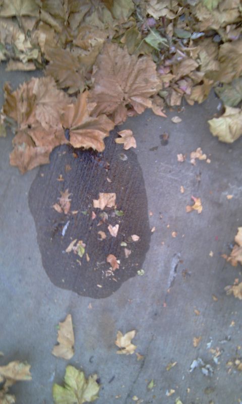 1993 Ford Bronco - A puddle on concrete, surrounded by fallen leaves, with the Supermotors.net logo visible in the corner.