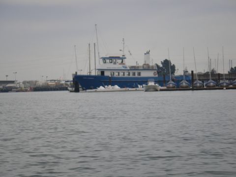 1991 Ford Bronco - A large blue and white boat is docked next to several smaller boats in a harbor.