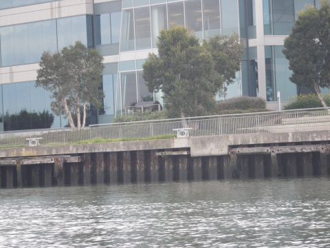 1991 Ford Bronco - A view of a building and trees from the water, with a pier in the foreground.