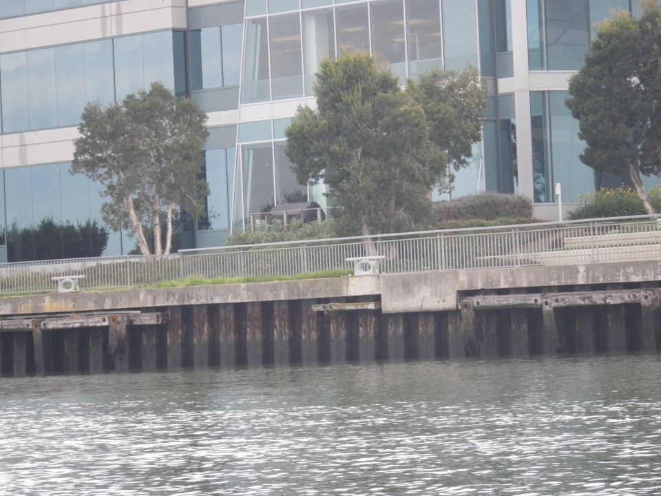 Waterfront view of a modern building with large windows, trees, and a pier