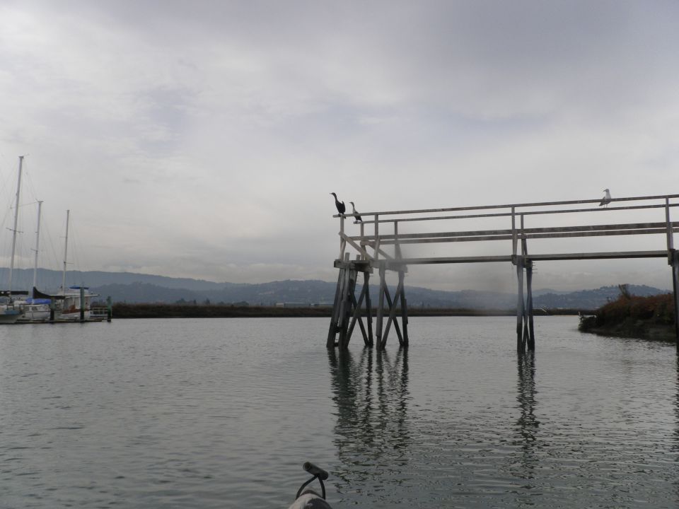 Kayak in water with birds on a pier