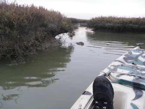 1991 Ford Bronco - View from a kayak navigating a calm waterway with overgrown banks under an overcast sky.
