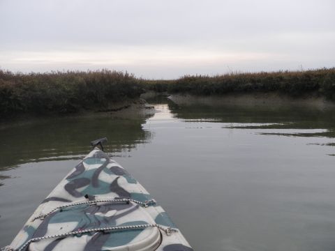 1991 Ford Bronco - Navigating a calm, narrow waterway bordered by dense marsh vegetation under an overcast sky.