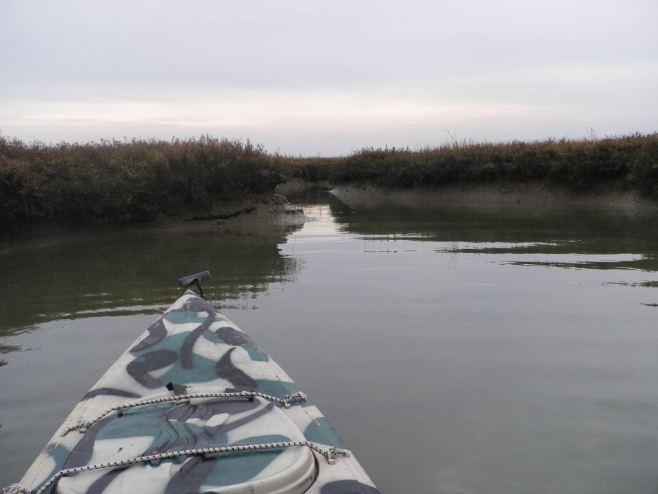 Kayak with camouflage pattern moving through a narrow waterway with marshy banks