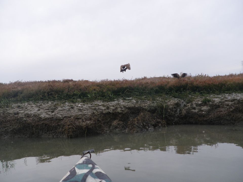 Kayak on water with muddy bank, birds in distance, and SUPERMOTORS watermark